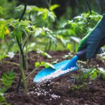 Compound Fertilizer22