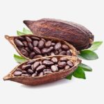 cocoa2