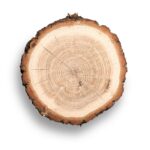 wood11